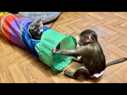 Видео: Анфиса ДОСТАЛА ВСЕХ-меня, Мону, Финика и Лорика)))
