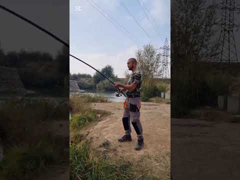 Видео: 14 ноября 2025 г.