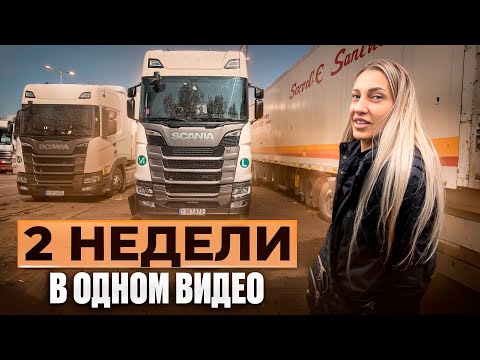 Видео: 2 НЕДЕЛИ В ОДНОМ ВИДЕО ./ ВЛОГ.