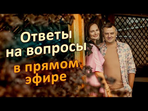 Видео: ЗА ЭТО дерево говорит СПАСИБО!