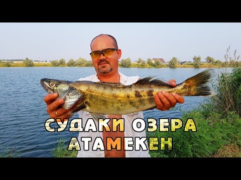 Видео: СУДАКИ ОЗЕРА АТАМЕКЕН. Обзор уловов по озеру. Советы рыбаков. Рыбалка в Алматы.