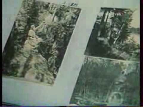 Видео: Д.С.Лихачев - о парке Монрепо.flv