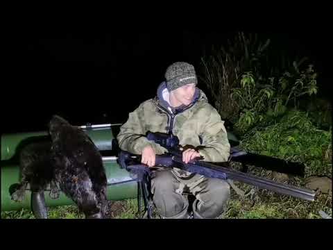 Видео: Охота на Бобра с ружьём и тепловизионным прицелом.