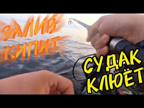Видео: Залив кипит- судак клюёт. Уловистые воблеры на судака!