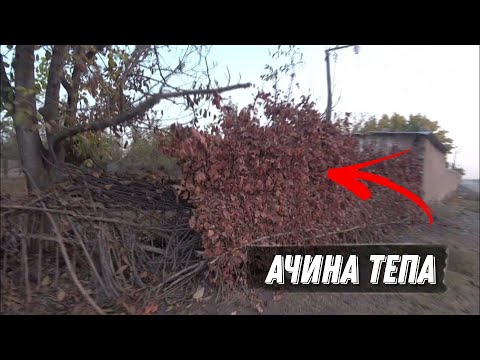 Видео: Едим в Аджина тепа (Савхоз Киров)