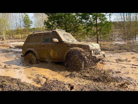 Видео: ЧТО ТВОРИТ ТУРБО НИВА против САМЫХ КРУТЫХ ИНОМАРОК. СОРЕВНОВАНИЯ ВЕТКА САКУРЫ. ОФФРОАД