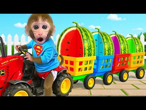 Видео: Малышка Обезьянка Bonbon спасает утёнка и собирает гигантские арбузы на ферме