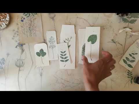 Видео: Прямой эфир от 11.07.21_Теги с сухоцветами