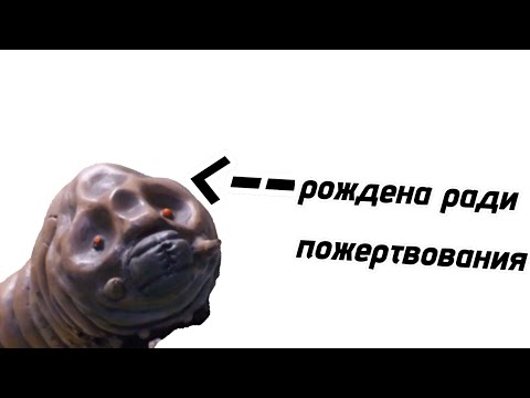 Видео: Ты мотра-и это полный отстой. 