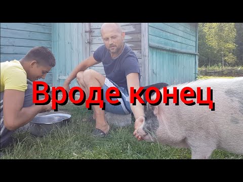 Видео: Черновые полы ? Не вспоминаем больше об них . Доделываем и уезжаем подальше !)