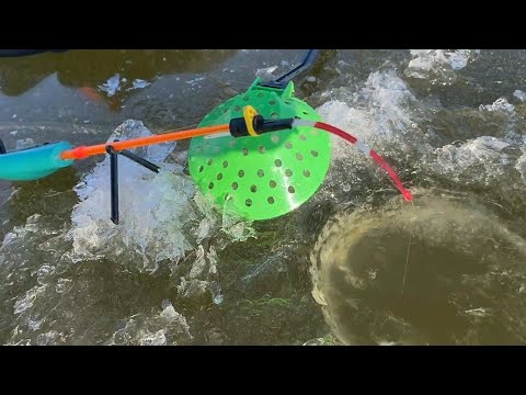 Видео: ПЕРВЫЙ ЛЕД ТРЕЩИТ...ЛЕСКУ РВУТ ГОРБАЧИ аж мурашки по  телу!!!Рыбалка 2025 по перволедью