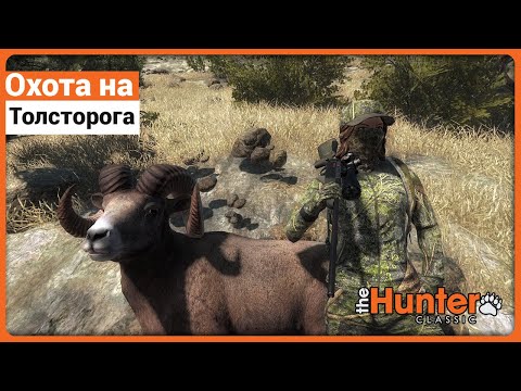 Видео: Охота на Толсторога в theHunter Classic !