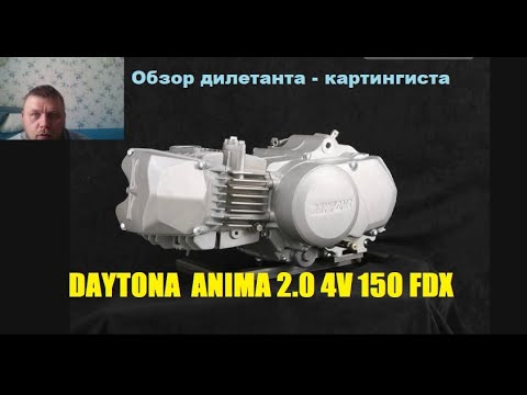 Видео: Daytona Anima 2.0 4V 150 FDX. Обзор дилетанта-картингиста.