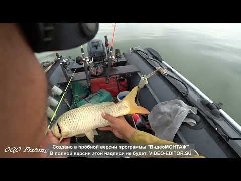 Видео: Рыбалка на сазана 2022 с лодки.