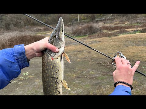 Видео: 🔥ЛОВЛЯ ТРОФЕЙНЫХ ЩУК НА УЛЬТРАЛАЙТЫ🎣🪶МИКРОДЖИГ🤏