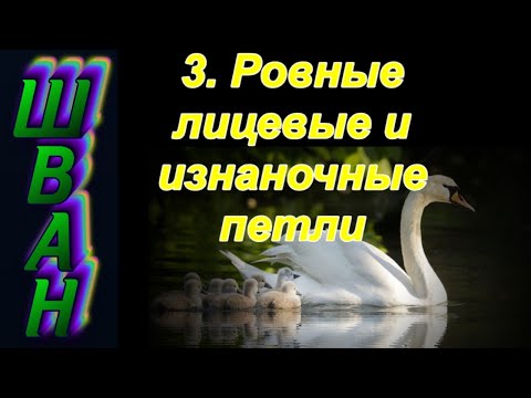 Видео: 3. ШВАН. Лицевые и изнаночные петли. Школа вязания спицами.