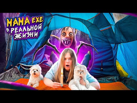 Видео: MAMA.EXE в РЕАЛЬНОЙ ЖИЗНИ в ТРЁХКОМНАТНОЙ ПАЛАТКЕ С КОТАМИ И СОБАКОЙ | ВЫЗВАЛИ ДУХА