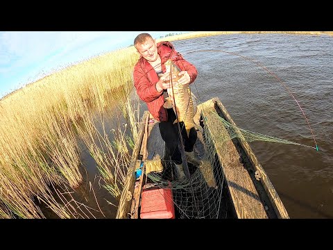 Видео: УХ!!! ЁЁЁ!!!! ОН ЧУТЬ НЕ СТЯНУЛ МЕНЯ С ЛОДКИ!!! УГАДАЛИ НА ХОД САЗАНА! РЫБАЛКА НА ПАУК-ПОДЪЁМНИК.