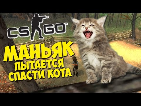 Видео: МАНЬЯК ПЫТАЕТСЯ СПАСТИ КОТА - CS:GO Прятки (КС ГО Маньяк)
