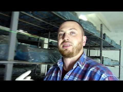 Видео: Работа с компостом после загрузки в камеру выращивания.Температура для зарастания брикетов.Климат.