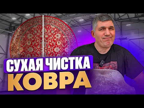 Видео: Мифы и реальность: Почему сухая химчистка ковров не работает? 🤬