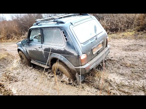 Видео: Нива БРОНТО 2024. Да я тут на девяточке проеду!!! Мертвая деревня.