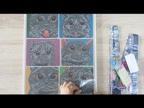 Видео: Алмазная мозаика. Много кошек в день кошек+ 2 эксперимента. 