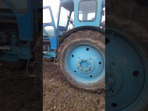 Видео: Переробляна сівалка сз 3.6 на 2.4 вроботі 
