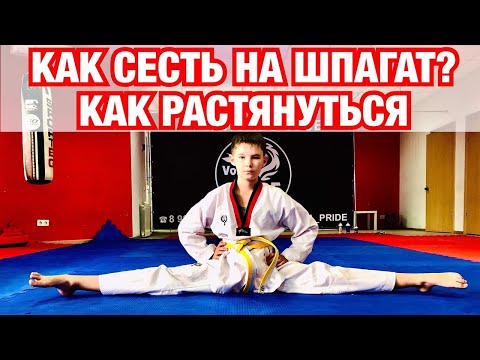 Видео: КАК СЕСТЬ НА ШПАГАТ? КАК РАСТЯНУТЬСЯ С НУЛЯ. Подводящие упражнения для растяжки .