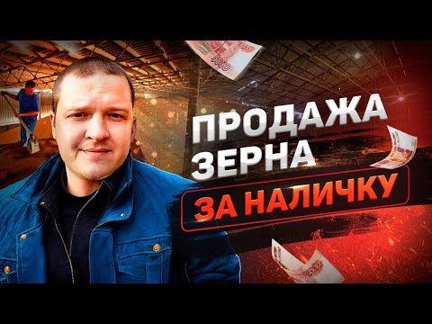 Видео: Продажа зерна за наличку.