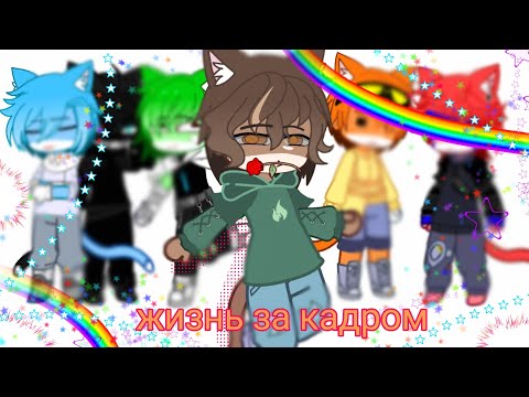 Видео: "Разноцветные коты"-жизнь за кадром