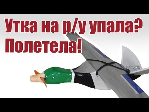 Видео: Радиоуправляемая утка упала? Полетела! | Хобби Остров.рф