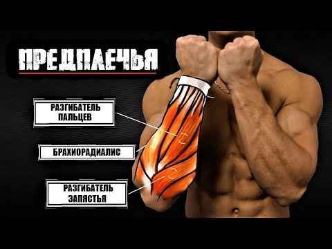 Видео: КАК НАКАЧАТЬ ПРЕДПЛЕЧЬЯ - используй научный подход | Джереми Этье