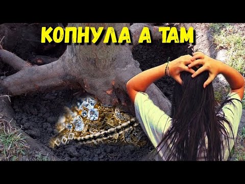 Видео: КОПНУЛА И ОБАЛДЕЛА  -  НАХОДКА ВПЕРВЫЕ ЗА МНОГО ЛЕТ ПОИСКА