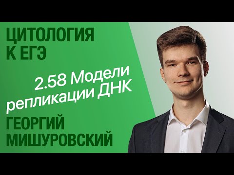 Видео: 2.58. Модели репликации ДНК | Цитология к ЕГЭ | Георгий Мишуровский
