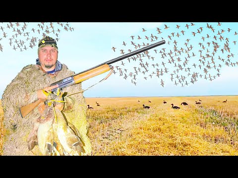 Видео: ЭТО НАДО ВИДЕТЬ!!! Тысячи уток взмыли в небо, словно буря над полем! Незабываемая охота 2025.