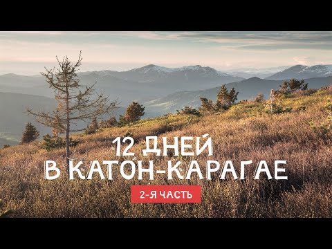 Видео: 12 дней в Катон-Карагае. Часть №2. ВКО. Казахстан.