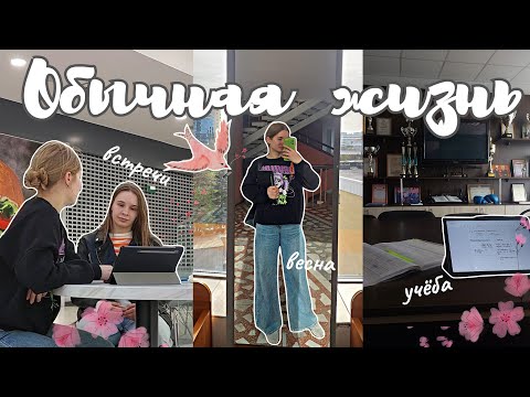 Видео: обычная жизнь | весна, учёба, встречи