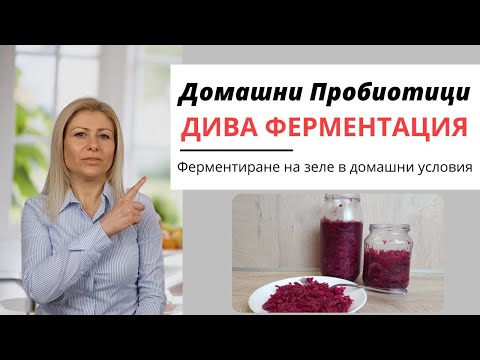 Видео: Как Да Си Направим Домашни Пробиотици - част 2 (Дива Ферментация на Зеле)