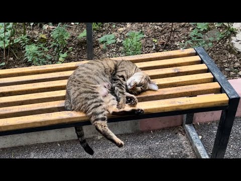 Видео: Учтепинский р-он 26 и 11 кварталы