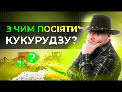 Видео: СЕЛІТРА, КАС, АМІАК, КАРБАМІД ЧИ АМОФОС? З ЧИМ ПОСІЯТИ КУКУРУДЗУ? #ПрибутковаТрембіта