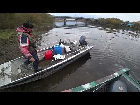 Видео: Камчатка, попадаем на меляки, Кижуч радует борьбой.