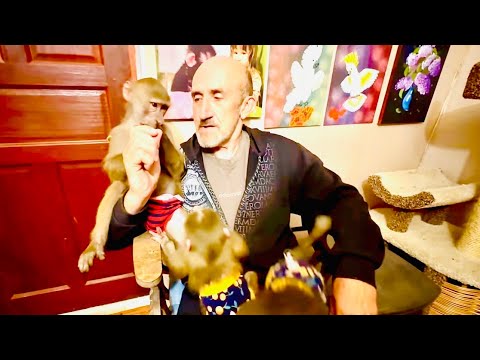 Видео: Люська стать писателем и отобрала у меня все ручки, а забрать назад ПРОБЛЕМА)((