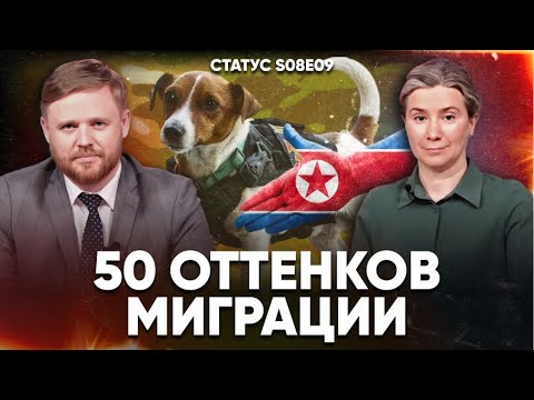 Видео: 50 оттенков миграции. Статус S08E09