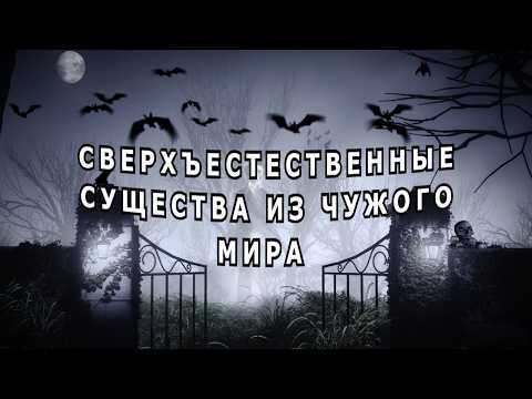 Видео: Мистические истории Ирины Шведской.