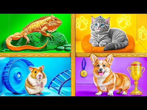 Видео: Строим Домики для Животных | Сумасшедший Челлендж от TeenDO Challenge