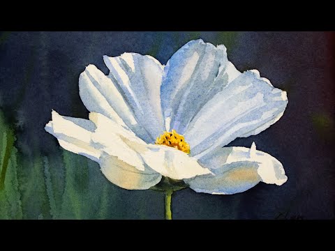 Видео: Акварельная живопись с изображением цветка космоса