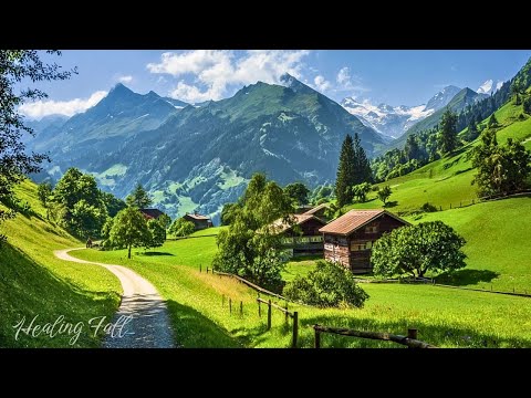 Видео: Успокаивающие звуки для души 🌿 Музыка для избавления от беспокойства и хорошего сна