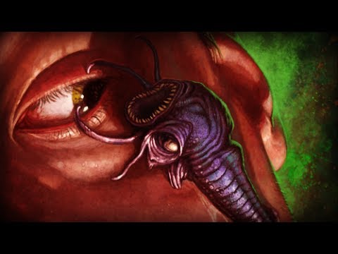 Видео: История Dungeons and Dragons: типы иллитидов