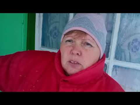 Видео: Снегом засыпает,не на долго.. Жизнь в деревне.